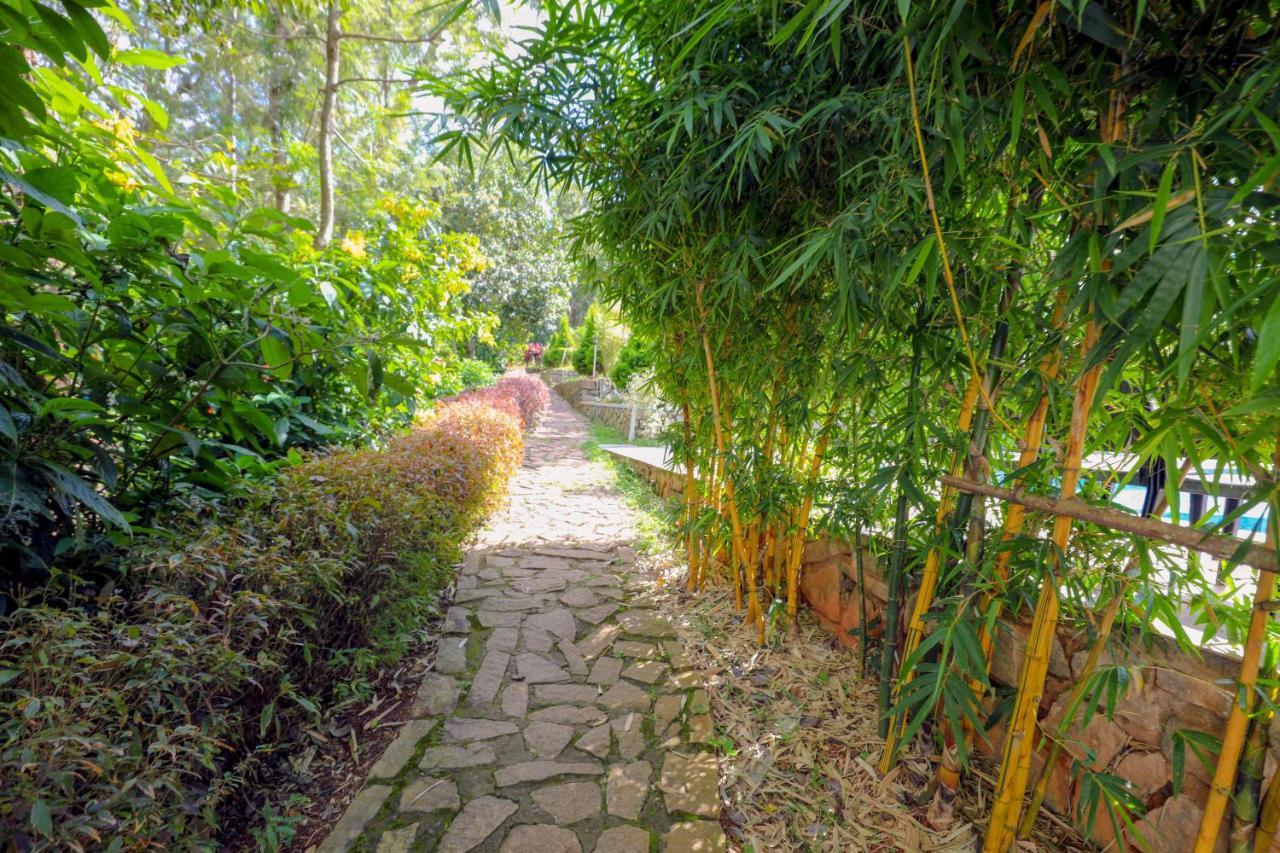 The Blossom Resort - Chikmagalūr Dış mekan fotoğraf